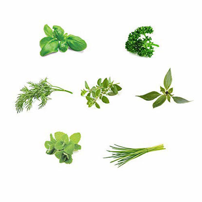 Picture of AeroGarden Gourmet Herb Seed Pod Kit (7 pod)