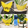 Picture of 12 Pack Sticky Fruit Fly Trap and Fungus Gnat Traps Killer for Indoor and Outdoor, Protect The Plant, Non-Toxic and Odorless