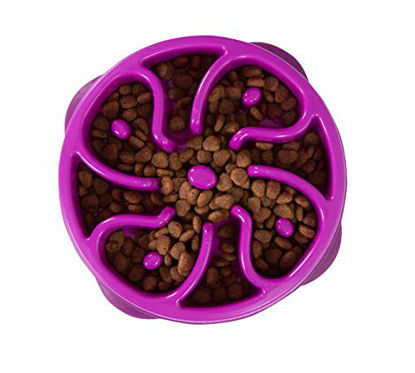 Picture of Outward Hound Fun Feeder Dog Bowl Slow Feeder Stop Bloat for Dogs, Medium/mini, Purple