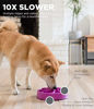 Picture of Outward Hound Fun Feeder Dog Bowl Slow Feeder Stop Bloat for Dogs, Medium/mini, Purple