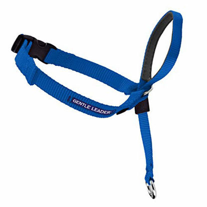 Picture of PetSafe Gentle Leader Head Collar with Training DVD, SMALL UP TO 25 LBS., ROYAL BLUE