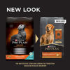 Picture of Purina Pro Plan With Probiotics, High Protein, Digestive Health Dry Dog Food, Shredded Blend Chicken & Rice Formula - 18 lb. Bag
