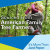 Picture of Hammermill Printer Paper, 20 lb Copy Paper, 8.5 x 11 - 5 Ream (2,500 Sheets) - 92 Bright, Made in the USA