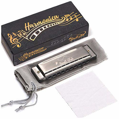 Picture of Harmonica for Toddlers, Kids, and Adults, Musical Instrument for Beginners with 10 Holes and 20 Notes, Stainless Steel Diatonic Mouth Organ Set Complete with Storage Bag, Blues Harp for Boys & Girls