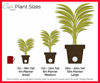 Picture of Costa Farms Snake, Sansevieria 4.25-Inch Wide Mid-Century Modern Planter Stand Set Fits on Shelves/Tabletops, Live Indoor Plant, 8 Tall, Grower's Choice
