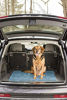 Picture of Dirty Dog Doormat