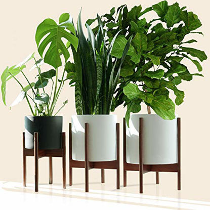Picture of Fox & Fern Mid-Century Modern Plant Stand - EXCLUDING White Planter Pot (Family, Acacia Wood)