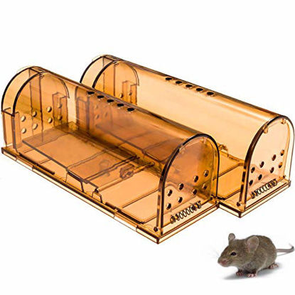 Picture of CaptSure Original Humane Mouse Traps, Easy to Set, Kids/Pets Safe, Reusable for Indoor/Outdoor use, for Small Rodent/Voles/Hamsters/Moles Catcher That Works. 2 Pack (Small)