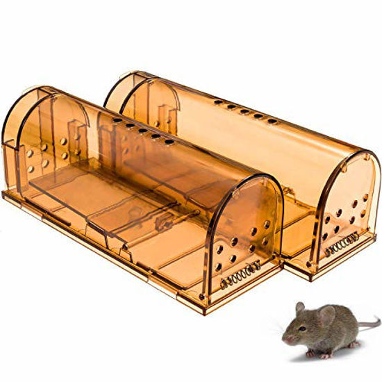 https://www.getuscart.com/images/thumbs/0427806_captsure-original-humane-mouse-traps-easy-to-set-kidspets-safe-reusable-for-indooroutdoor-use-for-sm_550.jpeg