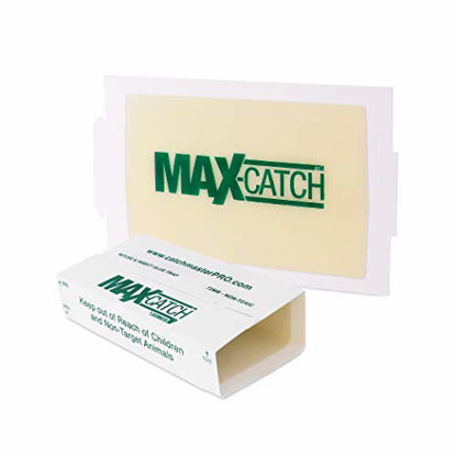 Picture of Catchmaster AA1170 72MAX Pest Trap, 72 Pack, White