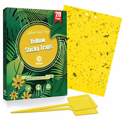 Picture of Gideal 20-Pack Dual-Sided Yellow Sticky Traps for Flying Plant Insect Such as Fungus Gnats, Whiteflies, Aphids, Leafminers,Thrips - (6x8 Inches, Included 20pcs Twist Ties)