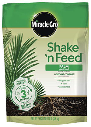 Picture of Miracle-Gro Shake 'N Feed Palm Plant Food, 8 lb., Feeds up to 3 Months