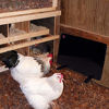 Picture of Cozy Products CL Cozy Safe Chicken Coop Heater 200 Watts Safer Than Brooder Lamps, One Size, Black