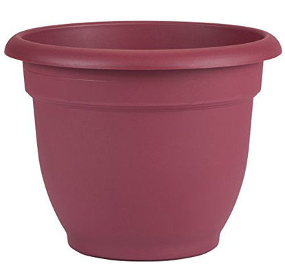 Picture of Bloem Ariana Self Watering Planter, 8", Union Red (AP0812), 8-Inch