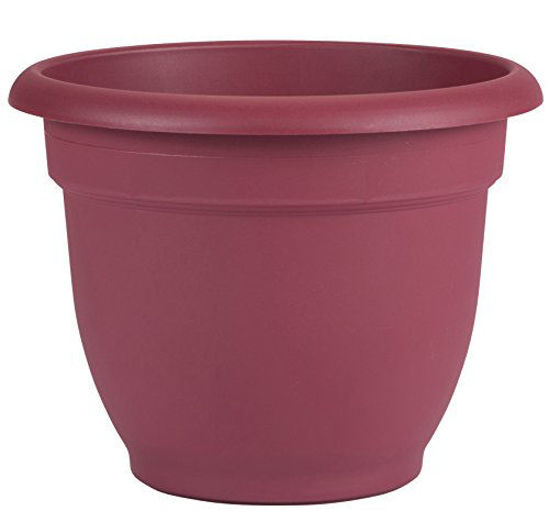 Picture of Bloem Ariana Self Watering Planter, 8", Union Red (AP0812), 8-Inch