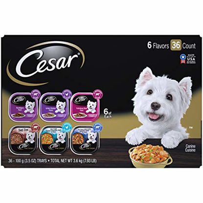 Picture of CESAR Soft Wet Dog Food Classic Loaf in Sauce Steak and Chicken Lovers Variety Pack, 36 Trays