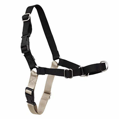 Picture of Easy Walk Harness (S/M)(Black)