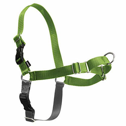 Picture of PetSafe Easy Walk Dog Harness, No Pull Dog Harness, Apple Green/Gray, Medium