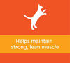 Picture of IAMS PROACTIVE HEALTH Adult Healthy Dry Cat Food with Chicken, 7 lb. Bag