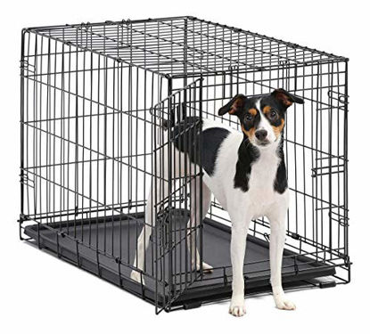 Picture of Dog Crate | MidWest ICrate 30 Inch Folding Metal Dog Crate w/ Divider Panel, Medium Dog, Black