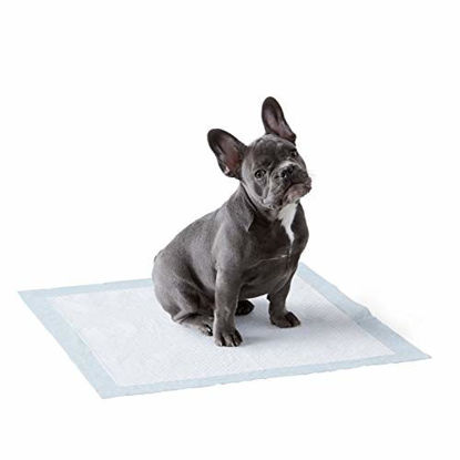 Picture of Amazon Basics Dog and Puppy Leak-proof 5-Layer Potty Training Pads with Quick-dry Surface, Regular (22 x 22 Inches) - Pack of 100