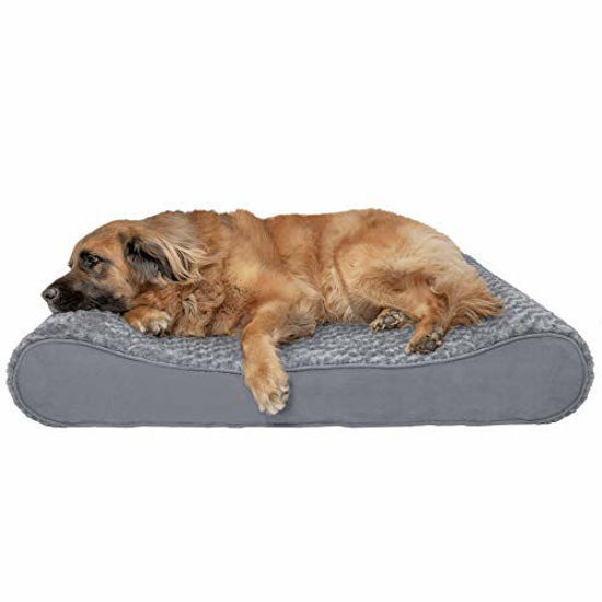 jumbo plus dog bed