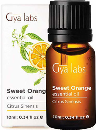 Picture of Gya Labs Sweet Orange Essential Oil for Stress Relief, Skin Care and Pain Relief - Topical for Dry Skin, Uneven Skin, Sore Muscles - 100 Pure Therapeutic Grade Sweet Orange Oil for Aromatherapy -10ml