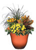Picture of Honeysuckle Planter, Patio Pot, 13" Ember