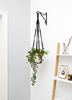 Picture of Mkono Macrame Plant Hanger Indoor Hanging Planter Basket with Wood Beads Decorative Flower Pot Holder No Tassels for Indoor Outdoor Boho Home Decor 35 Inch, Black
