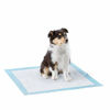 Picture of Amazon Basics Dog and Puppy Pee, Heavy Duty Absorbency Potty Training Pads with Leak-proof Design and Quick-dry Surface, Heavy Duty Regular (24 x 23 Inches) - Pack of 50