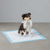 Picture of Amazon Basics Dog and Puppy Pee, Heavy Duty Absorbency Potty Training Pads with Leak-proof Design and Quick-dry Surface, Heavy Duty Regular (24 x 23 Inches) - Pack of 50