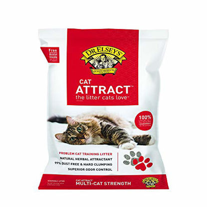 Picture of Dr. Elsey's Cat Attract Problem Cat Training Litter, 40 Lb / 18.14 Kg (Pack May Vary)