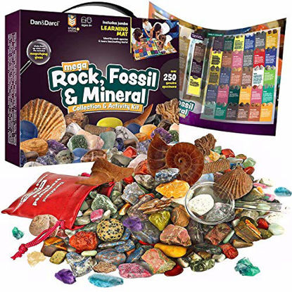 Picture of Rock, Fossil & Mineral Collection & Activity Kit. Includes 250+ Real Gemstones, Crystals Specimens & Jumbo Learning Mat - Bulk Rough Rocks, Polished Gem Stones, Genuine Fossils - Science Gift for Kids