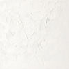 Picture of Winsor & Newton Winton Oil Color Paint, 200-ml Tube, Zinc White
