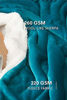 Picture of Bedsure Sherpa Fleece Blanket Throw Size Teal Plush Throw Blanket Fuzzy Soft Blanket Microfiber