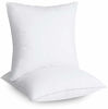 Picture of Utopia Bedding Throw Pillows Insert (Pack of 2, White) - 20 x 20 Inches Bed and Couch Pillows - Indoor Decorative Pillows