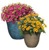 Picture of Classic Home and Garden Honeysuckle Planter, Patio Pot, 15" Bamboo