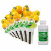 Picture of AeroGarden Red Heirloom Cherry Tomato Seed Kit
