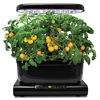 Picture of AeroGarden Red Heirloom Cherry Tomato Seed Kit