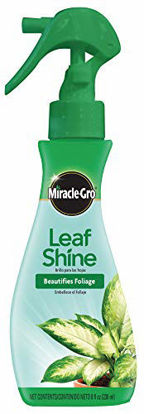 Picture of Miracle-Gro Leaf Shine, 8-Ounce