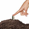 Picture of Jobe's Organics Herb Fertilizer Spikes, 50 Spikes