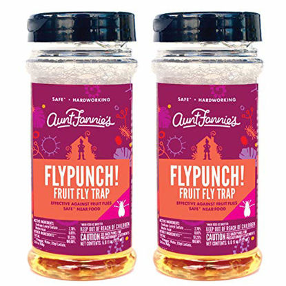 Picture of Aunt Fannie's - FlyPunch Non-Toxic Fruit Fly Trap - Kill Fruit Flies - for Indoor Use (2-Pack)