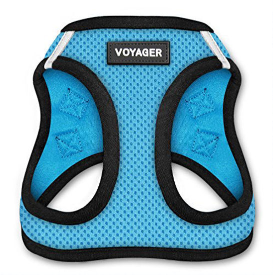Picture of Voyager Step-in Air Dog Harness - All Weather Mesh, Step in Vest Harness for Small and Medium Dogs by Best Pet Supplies