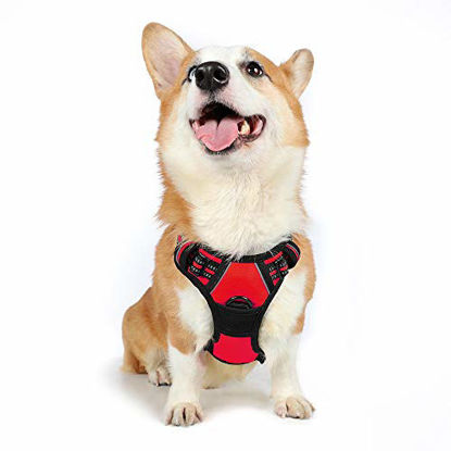 Picture of rabbitgoo Dog Harness, No-Pull Pet Harness with 2 Leash Clips, Adjustable Soft Padded Dog Vest, Reflective No-Choke Pet Oxford Vest with Easy Control Handle for Medium Dogs, Red (M, Chest 19.1-29.3")