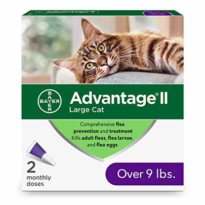 Picture of Advantage II 2-Dose Flea Prevention and Treatment for Large Cats, Over 9 Pounds