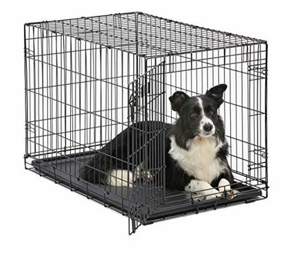 Picture of Dog Crate | MidWest ICrate 36 Inch Folding Metal Dog Crate w/ Divider Panel|Intermediate Dog Breed, Black