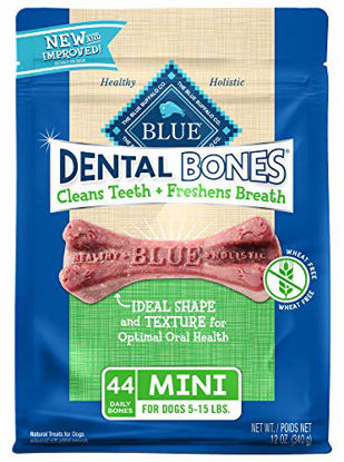 Picture of Blue Buffalo Dental Bones Natural Adult Dental Chew Dog Treats Mini 12-oz bag