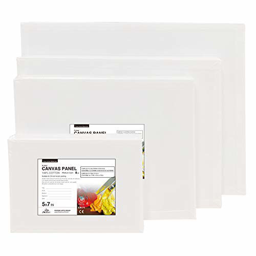 GetUSCart- PHOENIX Artist Painting Canvas Panels - 4x4 Inch / 12 Pack ...