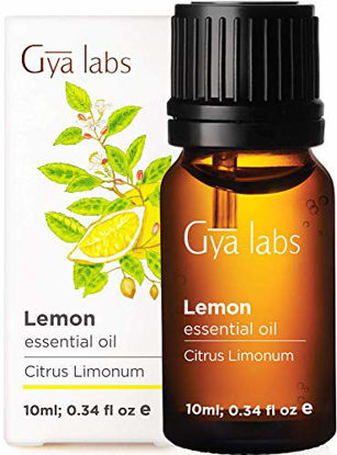 Gya Labs Myrrh Essential Oil Organic for Skin - 100% Pure Therapeutic Grade  Myrrh Essential Oils Organic for Diffuser - Organic Myrrh Essential Oil for  Hair, Candle Making & Massage (0.34 fl
