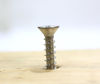 Picture of #12 X 3-1/2'' Stainless Flat Head Phillips Wood Screw, (25 pc), 18-8 (304) Stainless Steel Screws by Bolt Dropper